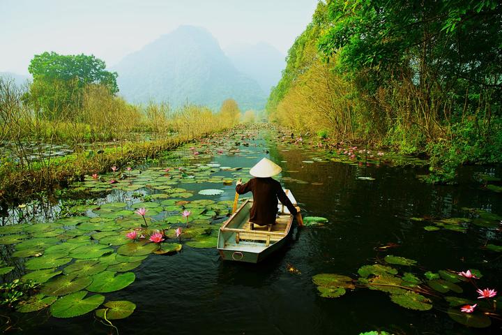Chiếc quần 